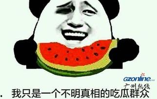 娱乐圈吃瓜群众的简介